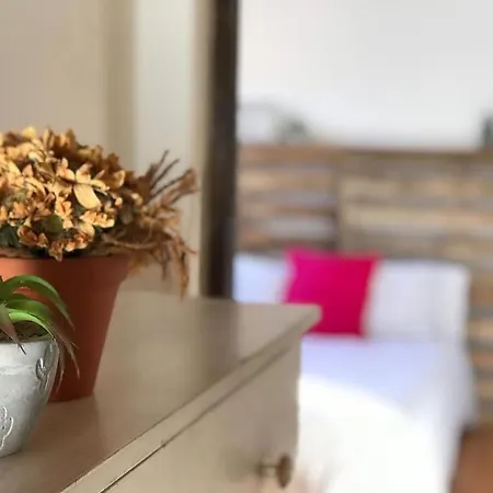 Paz * La Esperanza (Tenerife)