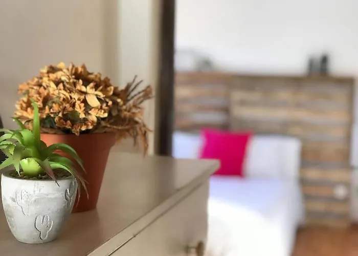 Paz * La Esperanza (Tenerife)