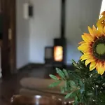Paz *